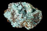 Aurichalcite and Calcite Association - Hidden Treasure Mine #146222-1